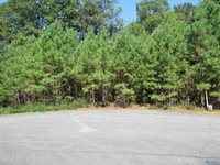 Lot 115 County Road 182, Crane Hill, AL 35053