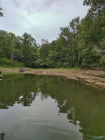 Lot 115 County Road 182, Crane Hill, AL 35053