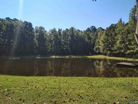 Lot 115 County Road 182, Crane Hill, AL 35053