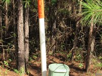 Lot 115 County Road 182, Crane Hill, AL 35053