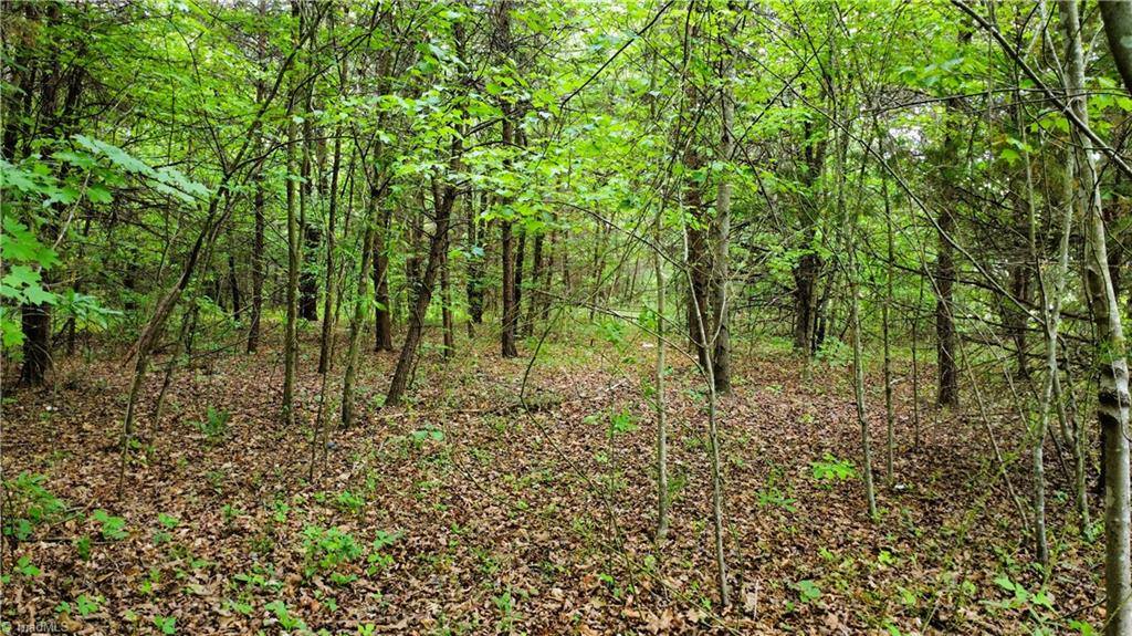 00 Eden Road, Stoneville, NC 27048