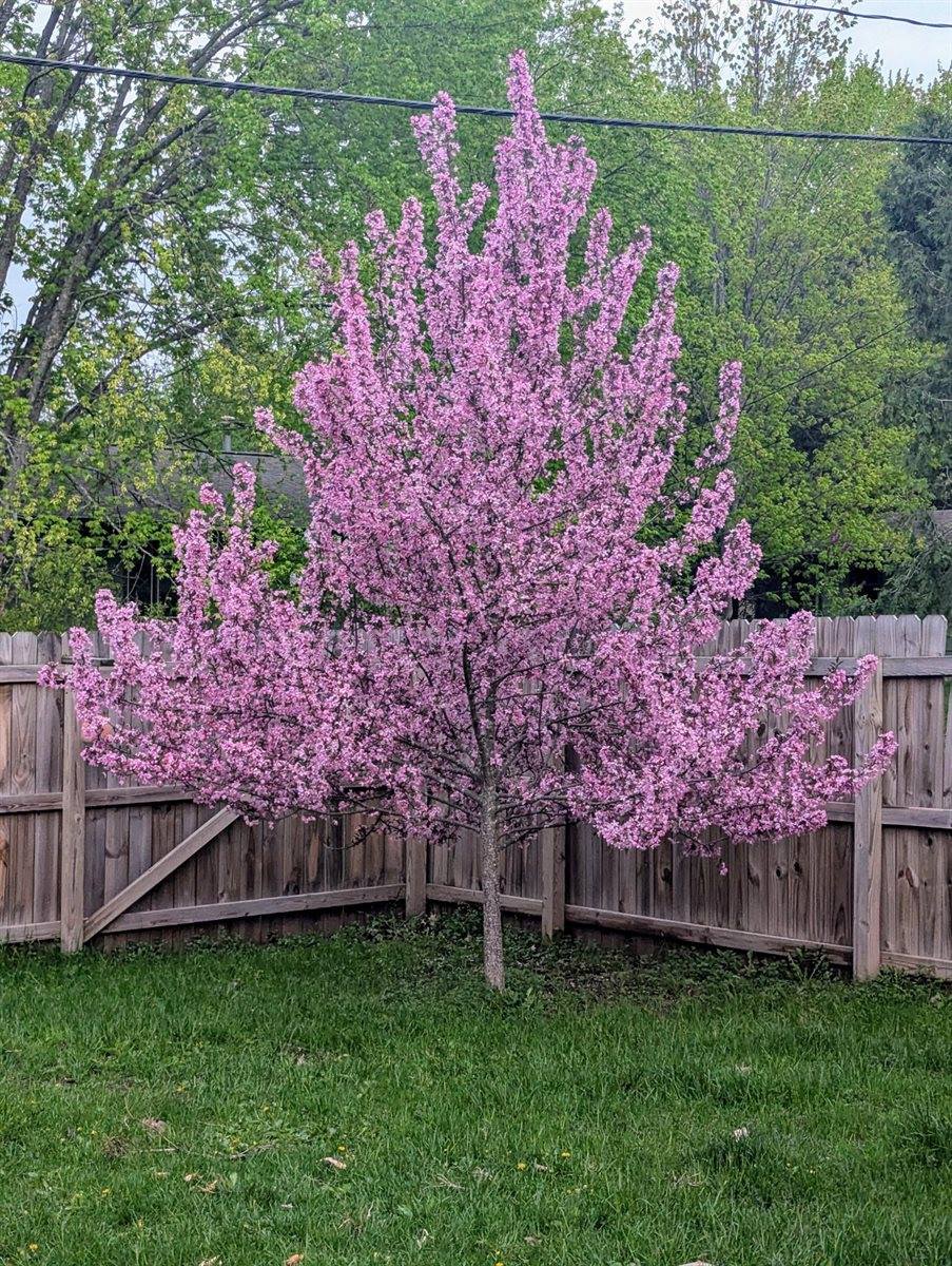 210 Court Avenue North, Sandstone, MN 55072