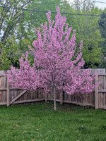 210 Court Avenue North, Sandstone, MN 55072