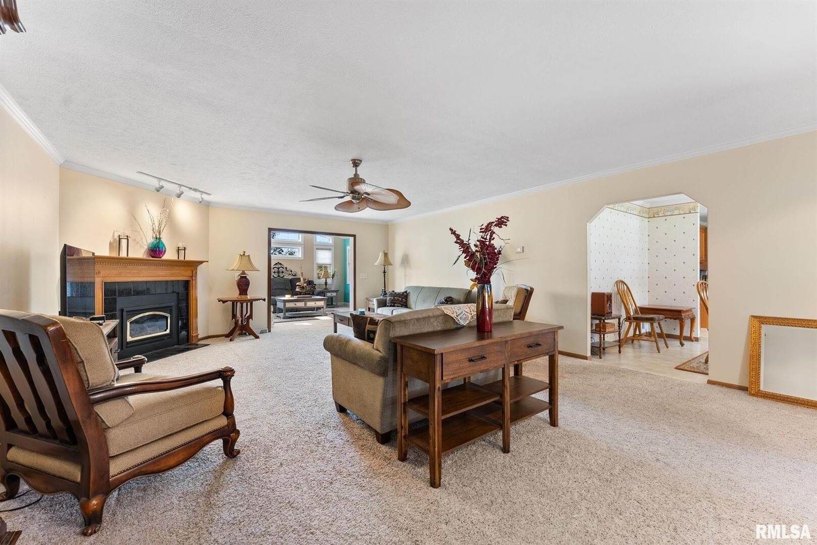 225 Carroll Street, Colona, IL 61241