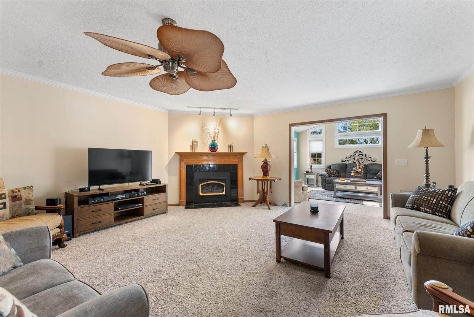 225 Carroll Street, Colona, IL 61241