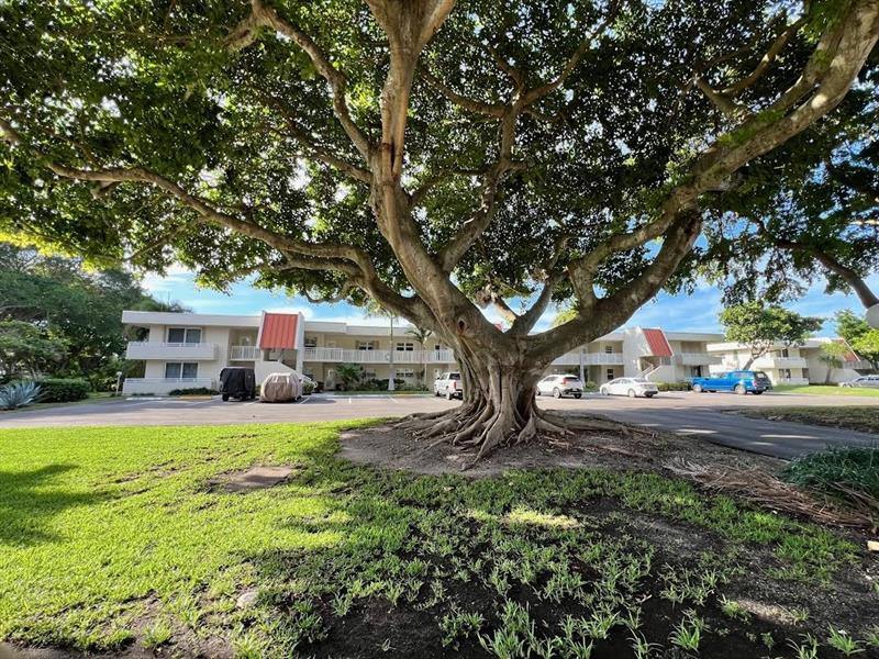 3175 NE 48th Ct 205, #205, Lighthouse Point, FL 33064