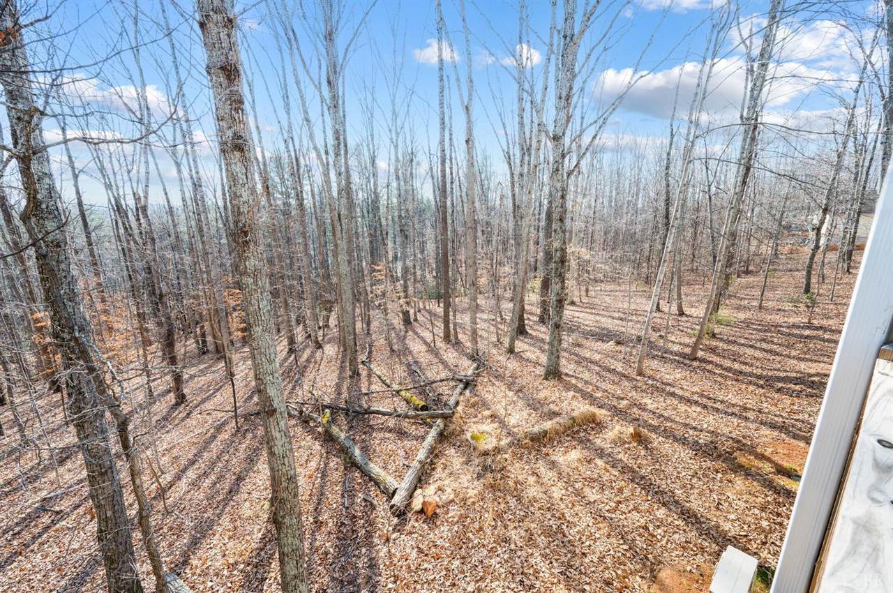 556 Pendleton Drive, Amherst, VA 24521