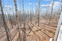 556 Pendleton Drive, Amherst, VA 24521