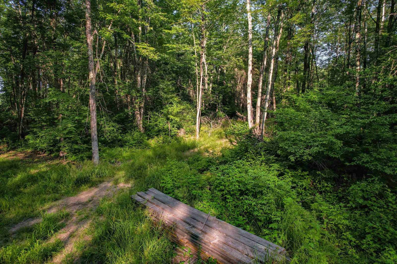 Lot 15 SCOUT TRAIL, Ojibwa, WI 54862
