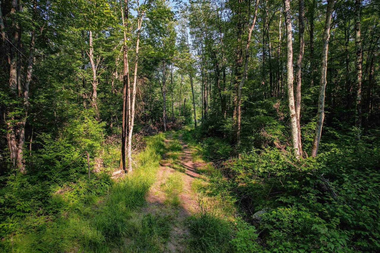 Lot 15 SCOUT TRAIL, Ojibwa, WI 54862