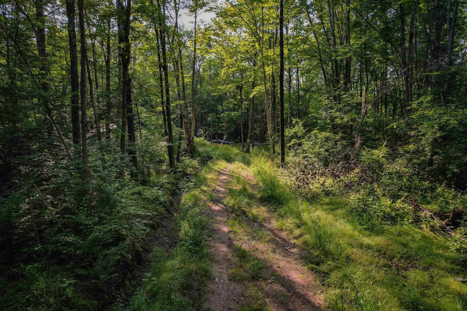 Lot 15 SCOUT TRAIL, Ojibwa, WI 54862