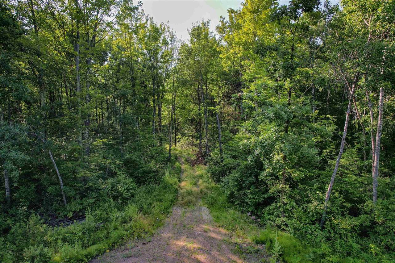 Lot 15 SCOUT TRAIL, Ojibwa, WI 54862