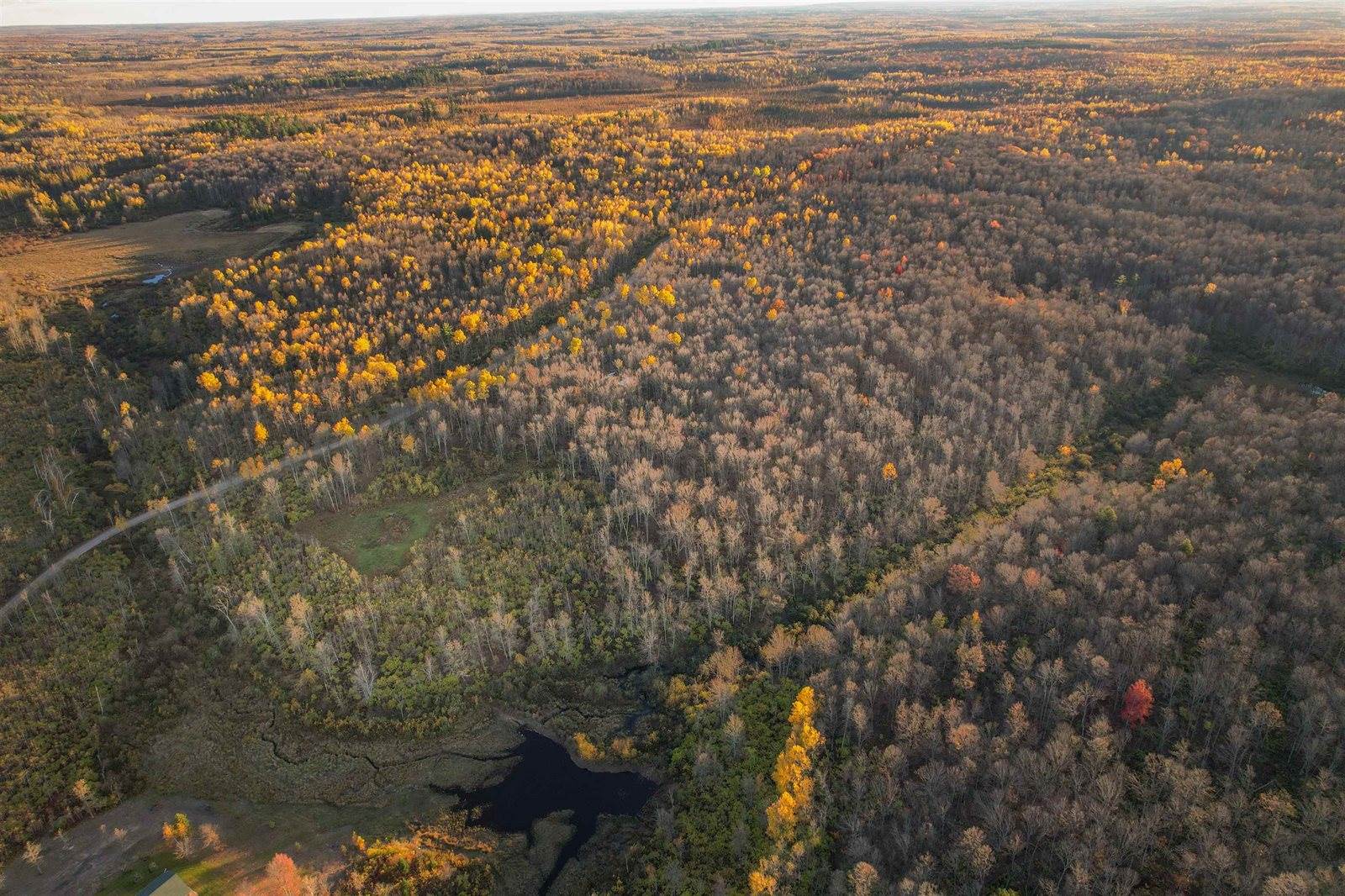 Lot 14 SCOUT TRAIL, Ojibwa, WI 54862