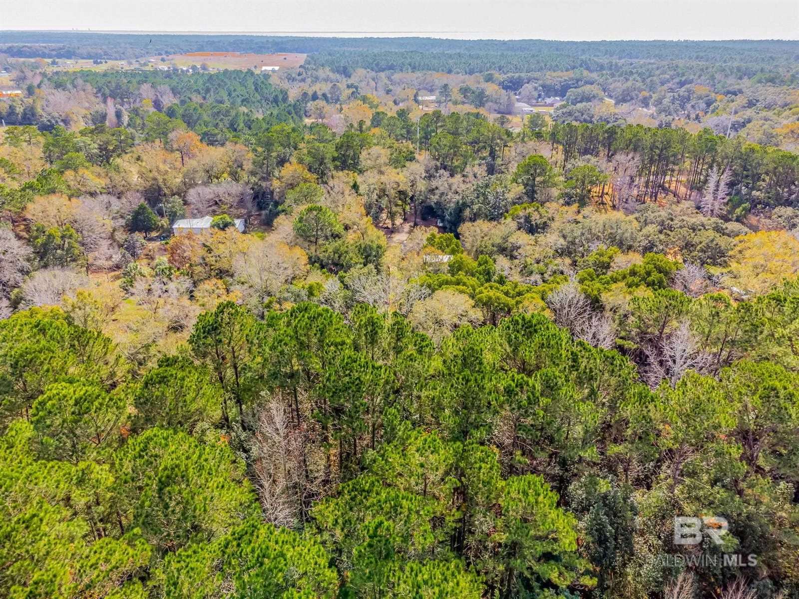 12199 West Bay Road, Foley, AL 36535