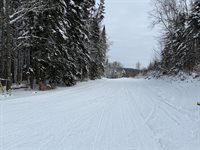 M25 L33 Pelletier Road, Madawaska, ME 04756