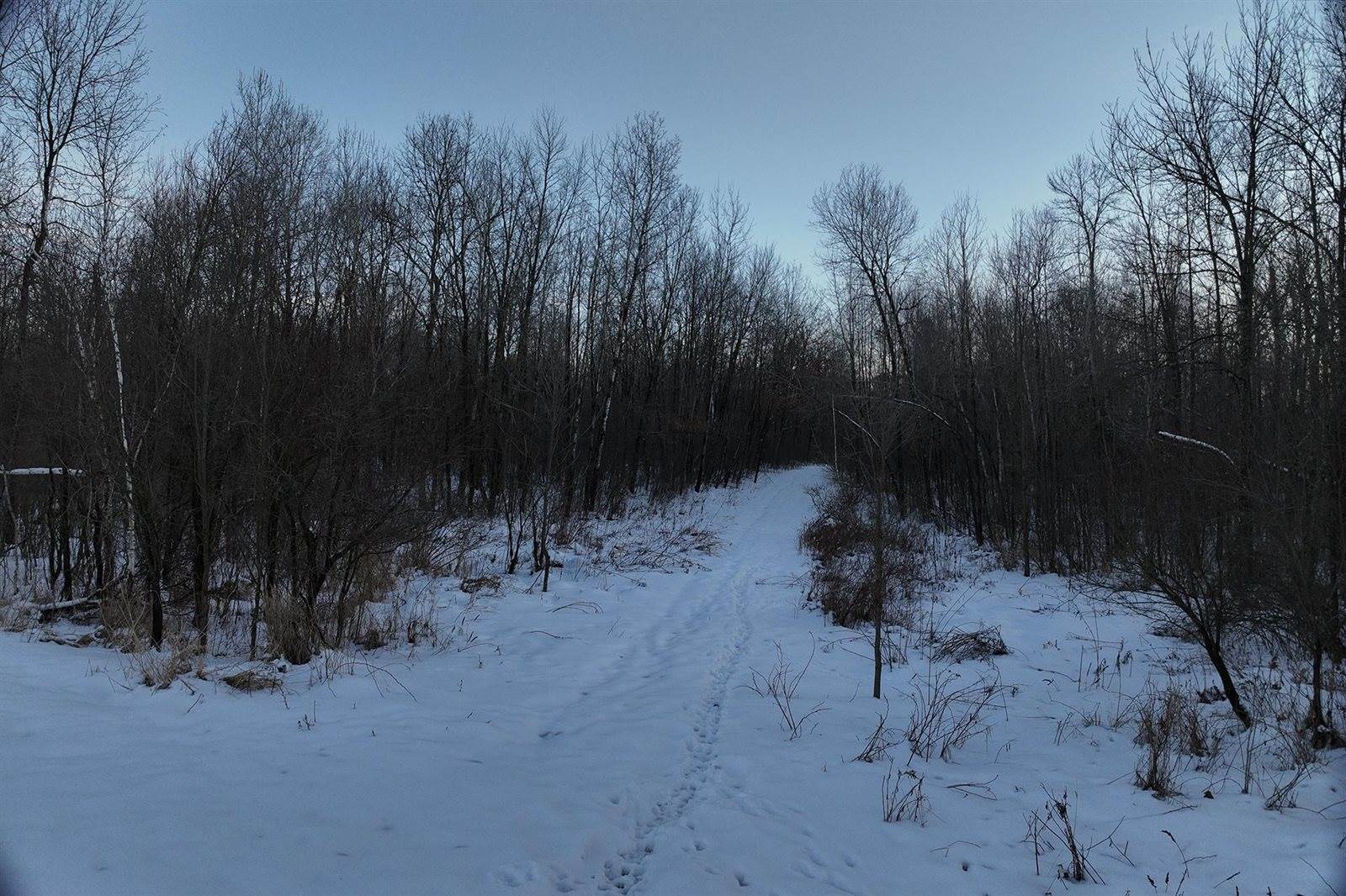 65.32 acres BOBWHITE ROAD, Neillsville, WI 54456