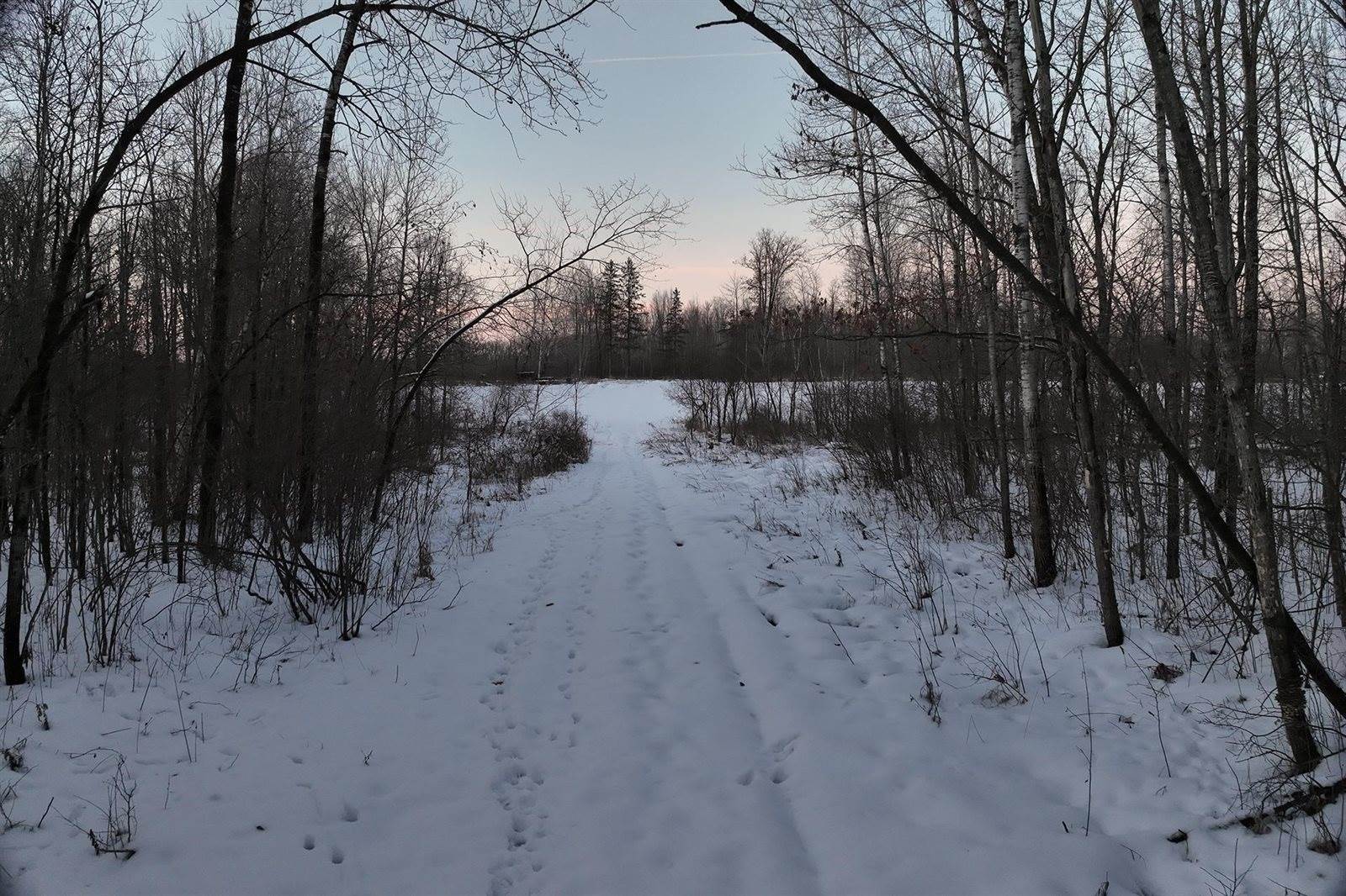 65.32 acres BOBWHITE ROAD, Neillsville, WI 54456