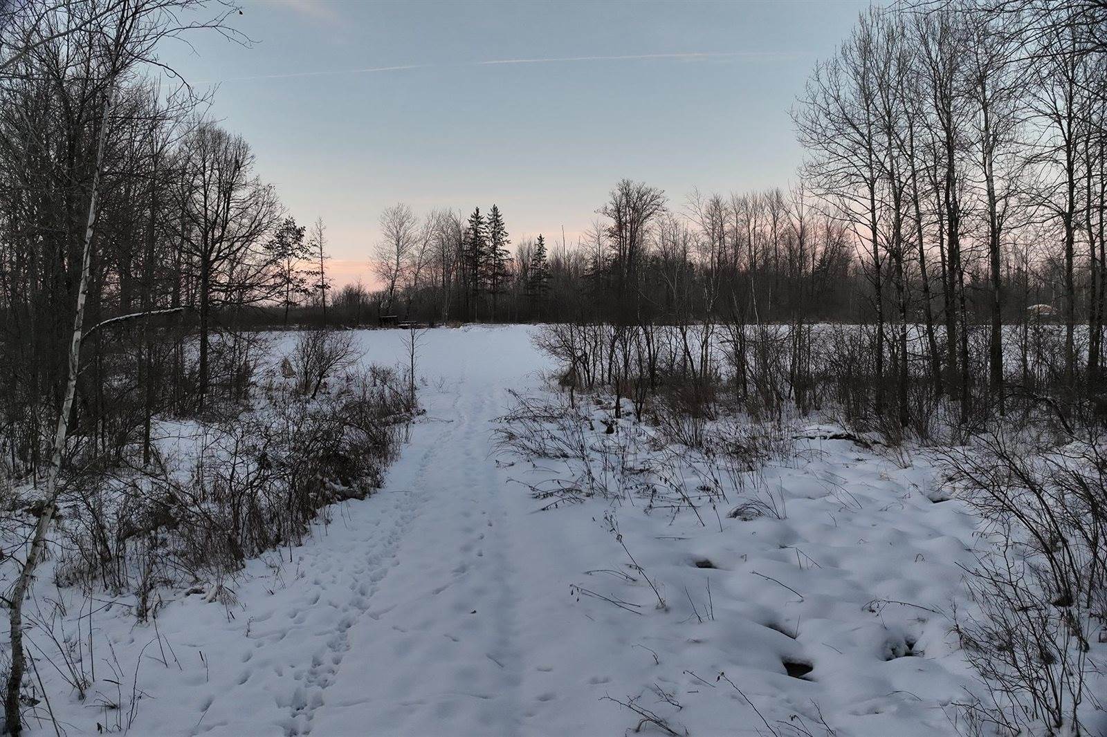 65.32 acres BOBWHITE ROAD, Neillsville, WI 54456