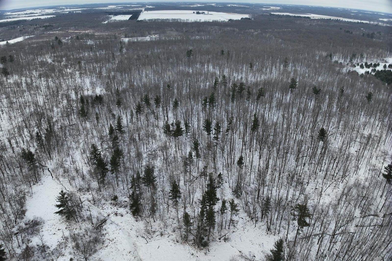 65.32 acres BOBWHITE ROAD, Neillsville, WI 54456