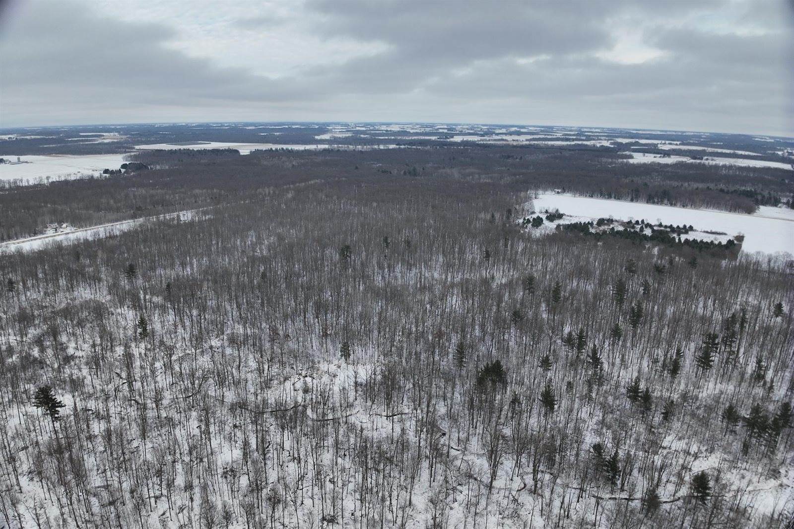 65.32 acres BOBWHITE ROAD, Neillsville, WI 54456