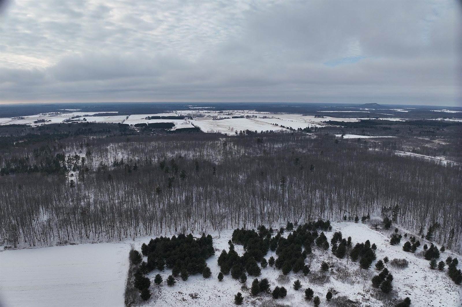 65.32 acres BOBWHITE ROAD, Neillsville, WI 54456