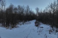 65.32 acres BOBWHITE ROAD, Neillsville, WI 54456