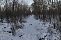 65.32 acres BOBWHITE ROAD, Neillsville, WI 54456