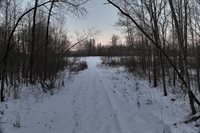 65.32 acres BOBWHITE ROAD, Neillsville, WI 54456