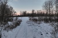 65.32 acres BOBWHITE ROAD, Neillsville, WI 54456