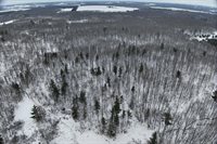 65.32 acres BOBWHITE ROAD, Neillsville, WI 54456