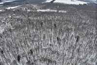 65.32 acres BOBWHITE ROAD, Neillsville, WI 54456