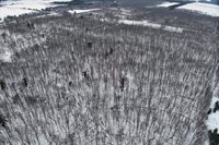 65.32 acres BOBWHITE ROAD, Neillsville, WI 54456