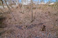 3800 Mount Hood Court, Columbus, OH 43230