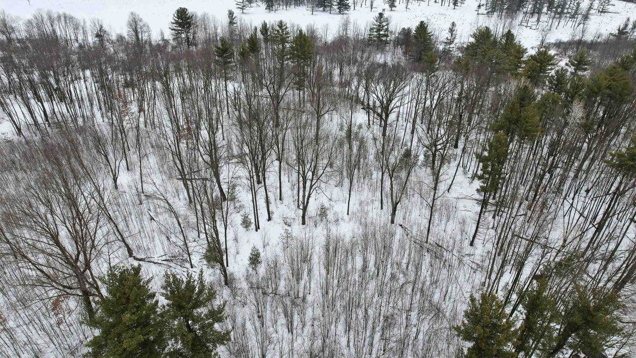 10 acres LINWOOD DRIVE, Stevens Point, WI 54481