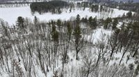 10 acres LINWOOD DRIVE, Stevens Point, WI 54481