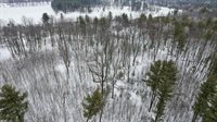 10 acres LINWOOD DRIVE, Stevens Point, WI 54481