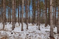 10 acres LINWOOD DRIVE, Stevens Point, WI 54481