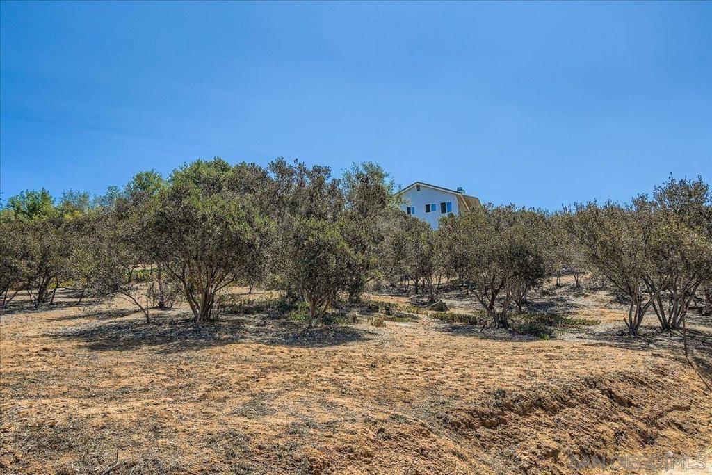 13622 Coyote Vista Way, Jamul, CA 91935