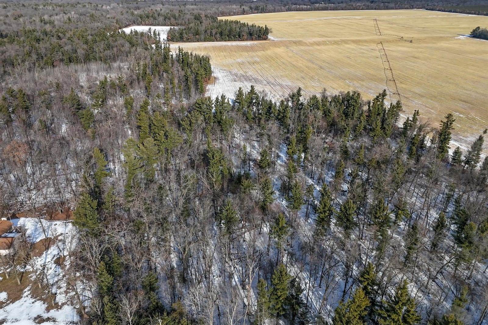 12.6 Acres CZECH AVENUE, Friendship, WI 53934