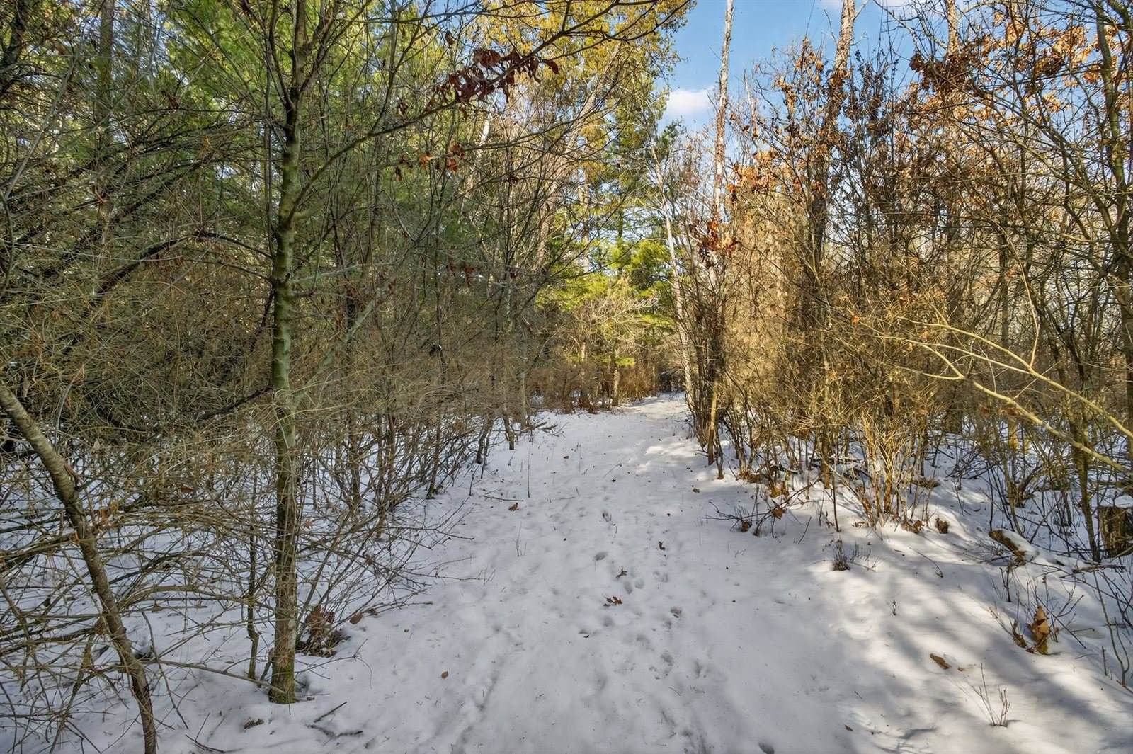 12.6 Acres CZECH AVENUE, Friendship, WI 53934