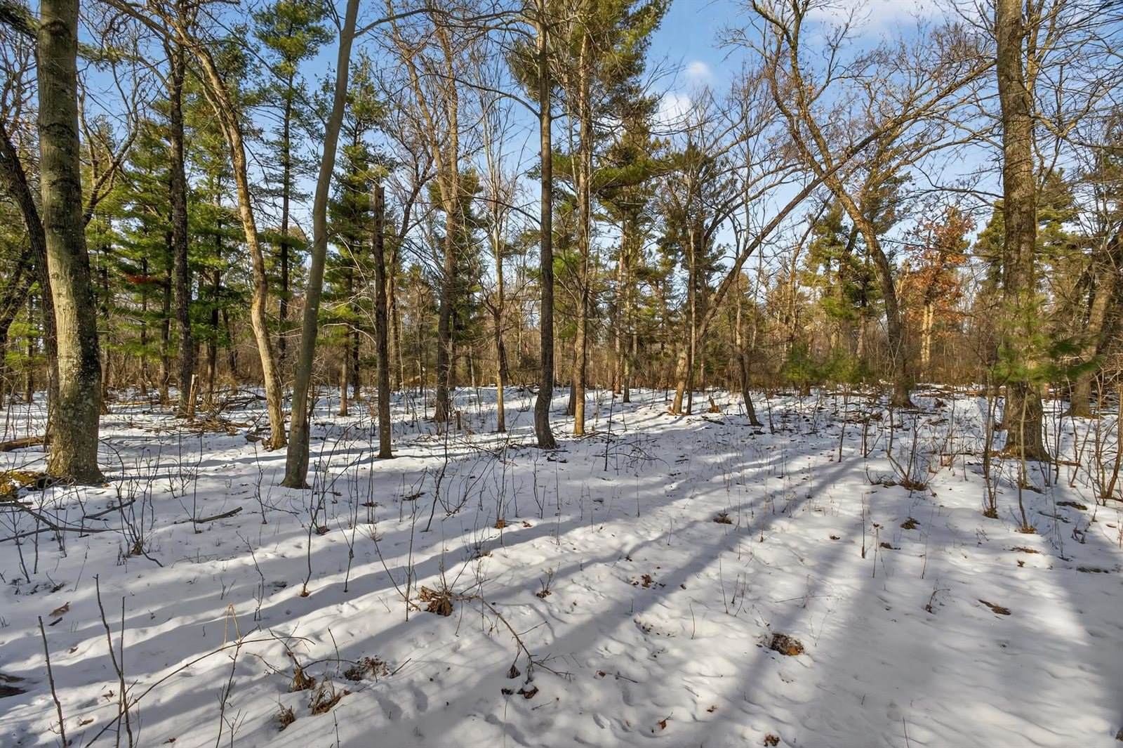 12.6 Acres CZECH AVENUE, Friendship, WI 53934