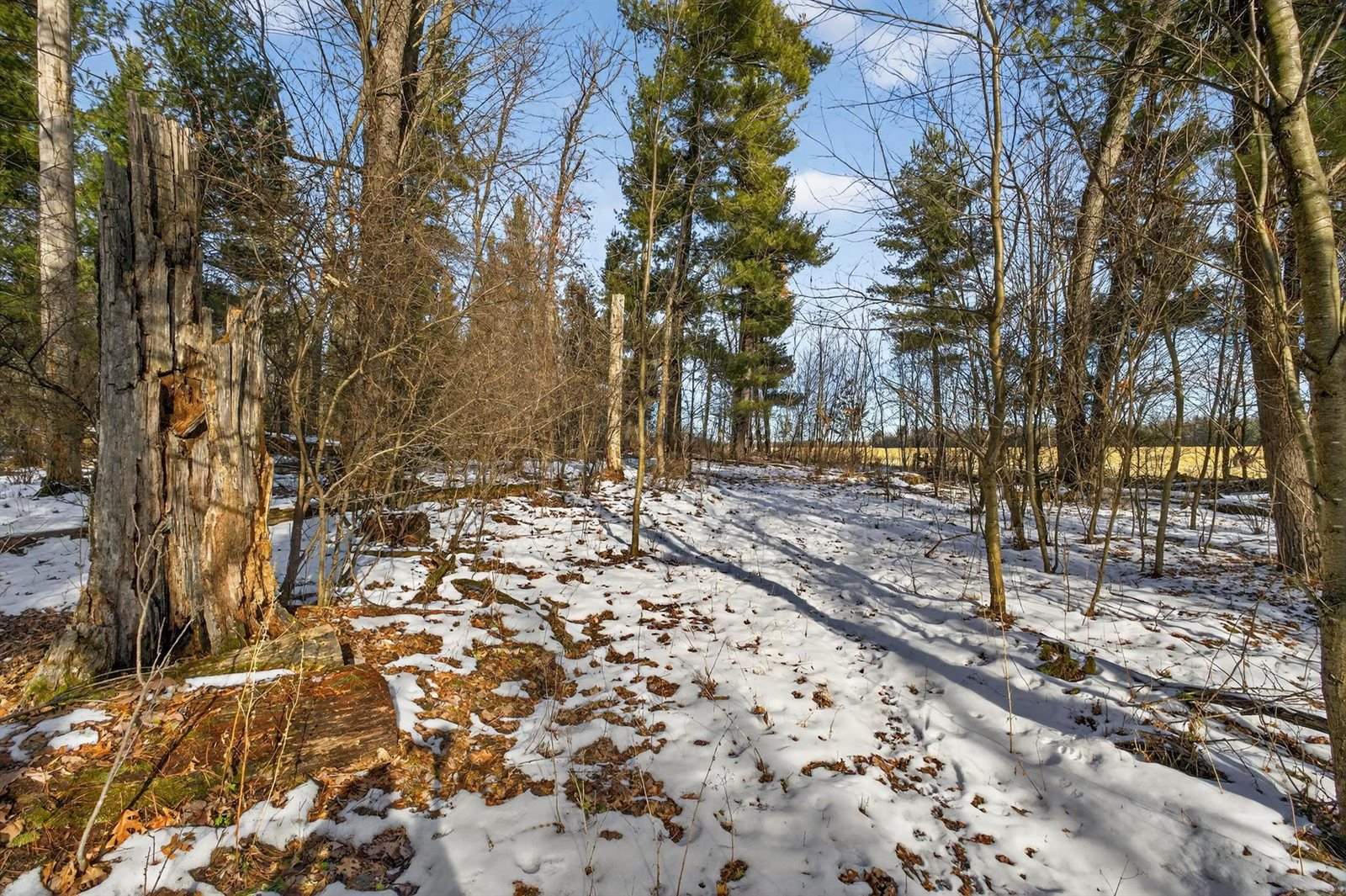 12.6 Acres CZECH AVENUE, Friendship, WI 53934