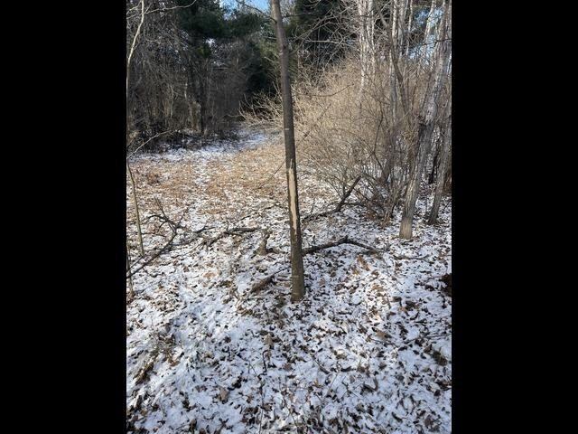 12.6 Acres CZECH AVENUE, Friendship, WI 53934