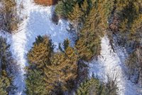 12.6 Acres CZECH AVENUE, Friendship, WI 53934