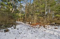 12.6 Acres CZECH AVENUE, Friendship, WI 53934