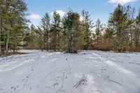 12.6 Acres CZECH AVENUE, Friendship, WI 53934