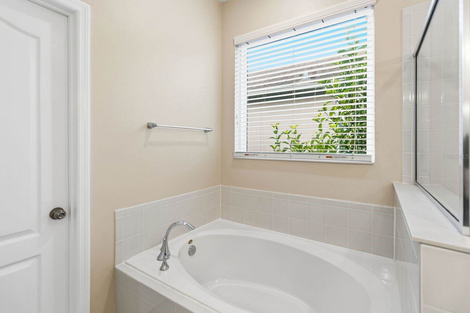 8216 Gray Kingbird Dr, Winter Garden, FL 34787