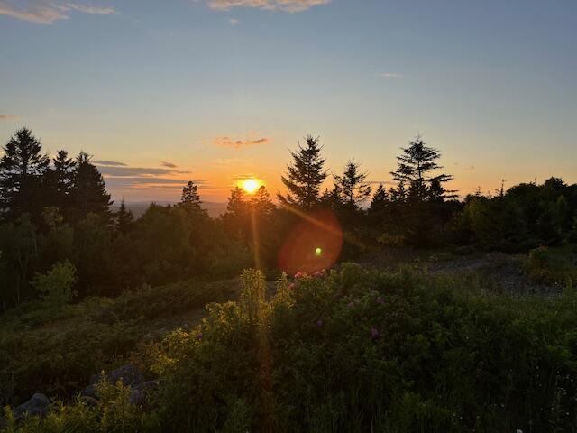 533 Mount Ephraim Map 4 Lot 63 Road, Searsport, ME 04974