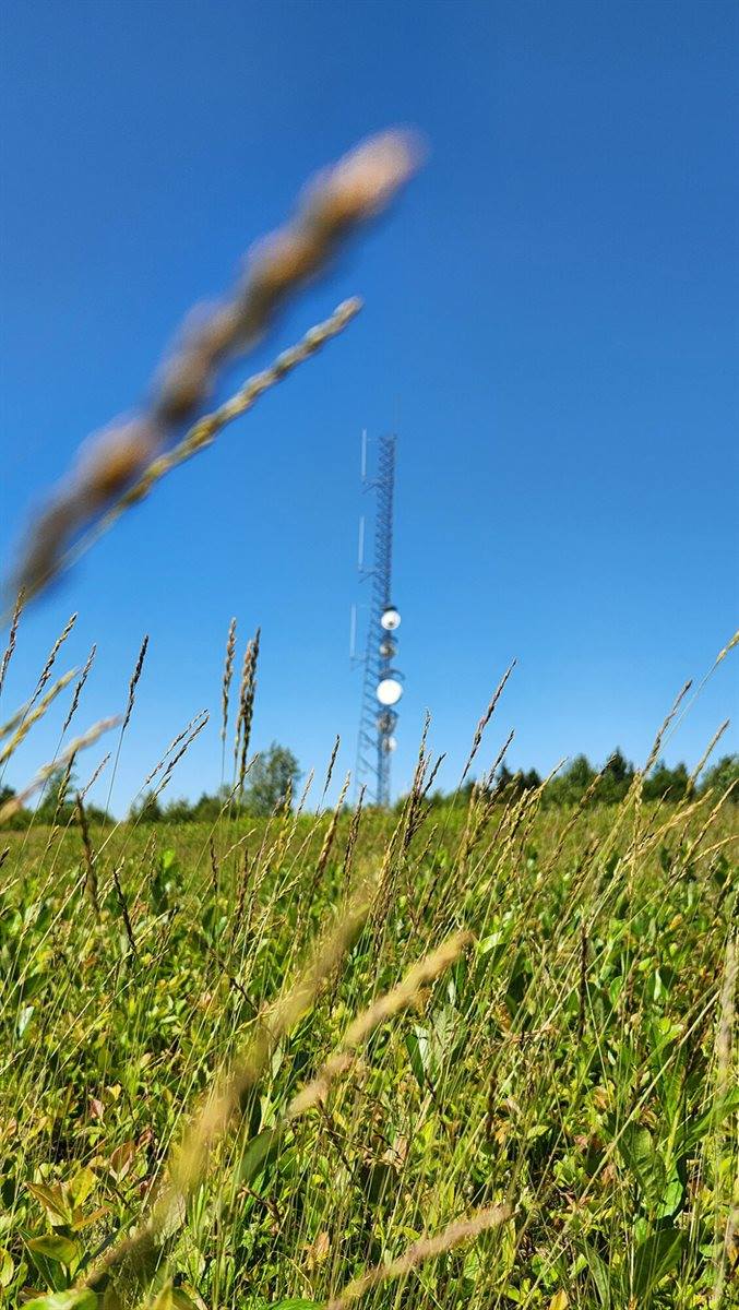 533 Mount Ephraim Map 4 Lot 63 Road, Searsport, ME 04974