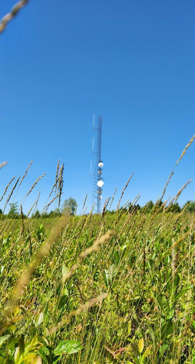 533 Mount Ephraim Map 4 Lot 63 Road, Searsport, ME 04974